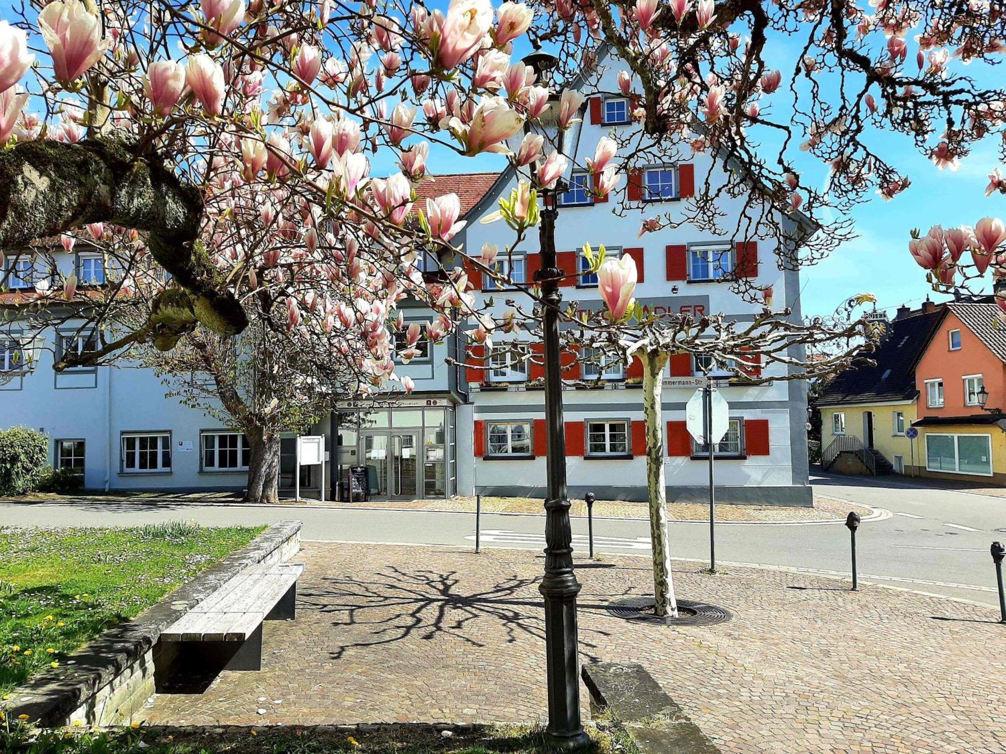 Hotel Restaurant Adler Immenstaad am Bodensee Exterior photo